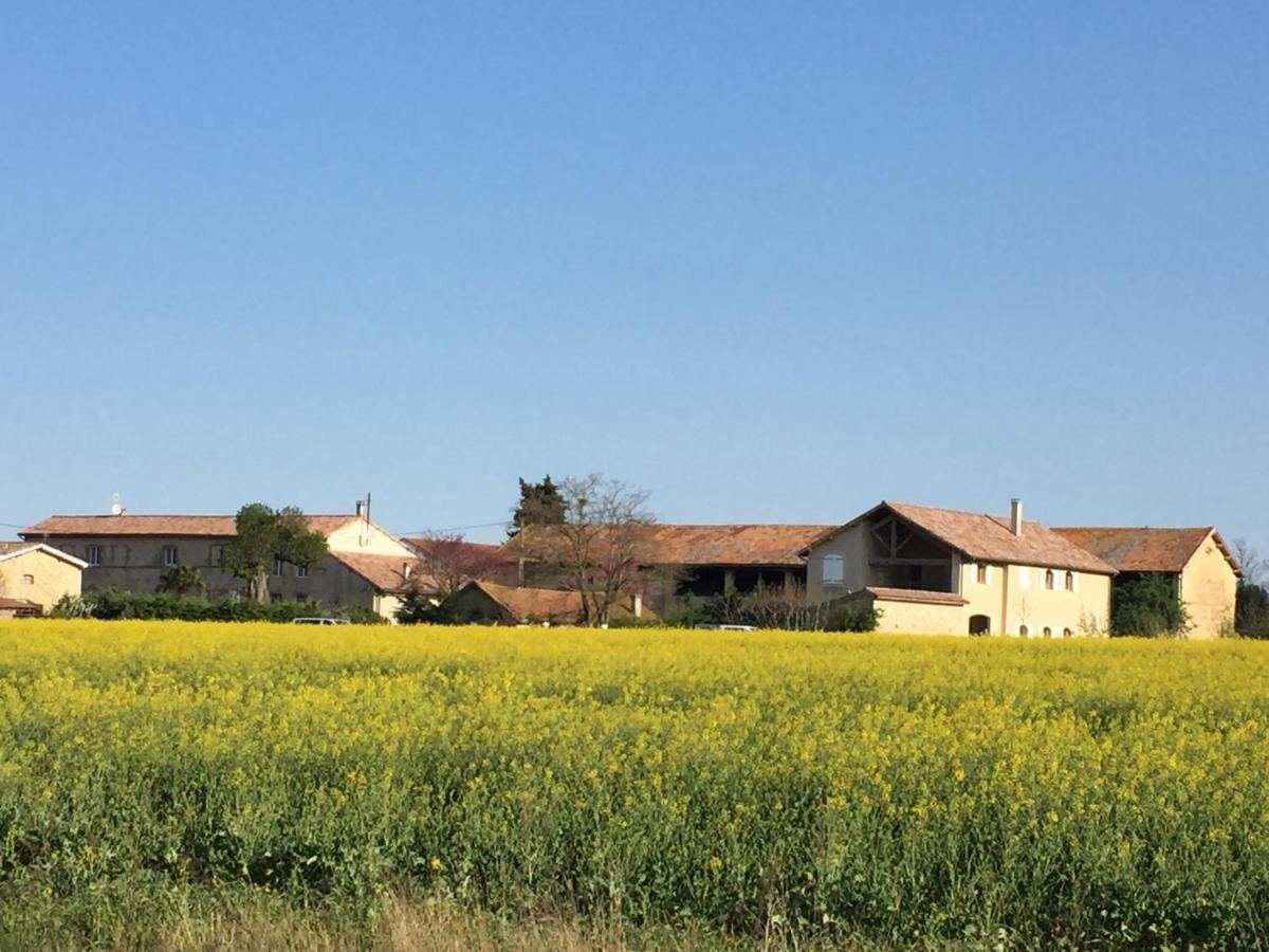 Ferme St Pierre 2 Suites Avec Repas, Piscine, Clim, Cheminee Ou Baignoire Spa Chabeuil Exterior foto
